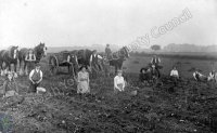 Upper Dunsforth, Potato Pickers